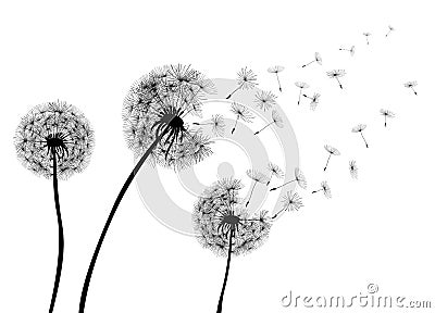 Abstract Dandelions dandelion with flying seeds - vector Stock Photo